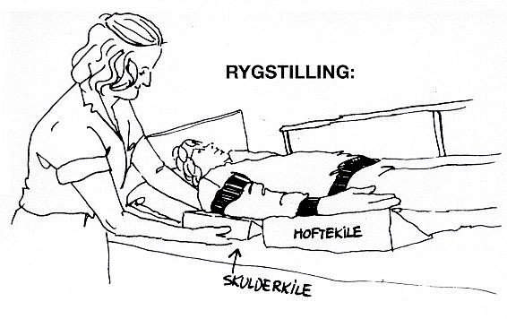 Lejringssystem
